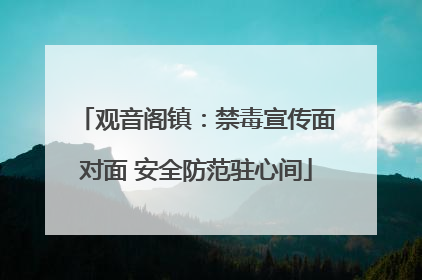 观音阁镇：禁毒宣传面对面 安全防范驻心间