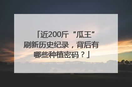 近200斤“瓜王”刷新历史纪录，背后有哪些种植密码？