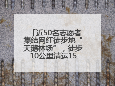 近50名志愿者集结网红徒步地“天鹅林场”，徒步10公里清运150余斤山野垃圾