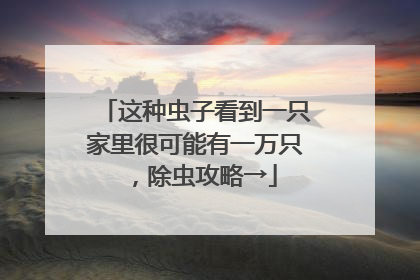 这种虫子看到一只家里很可能有一万只，除虫攻略→