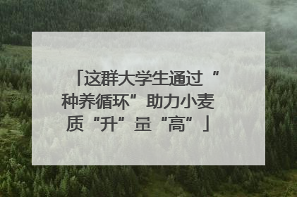 这群大学生通过“种养循环”助力小麦质“升”量“高”