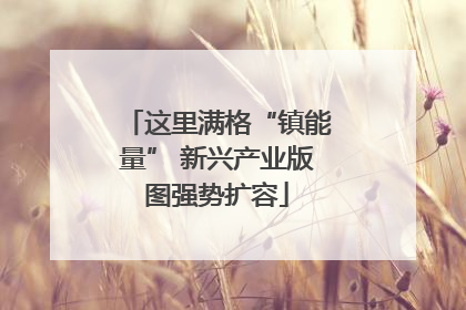 这里满格“镇能量” 新兴产业版图强势扩容