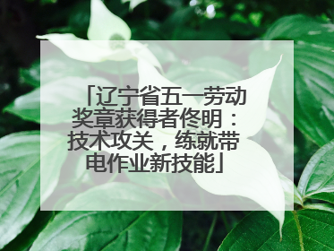 辽宁省五一劳动奖章获得者佟明：技术攻关，练就带电作业新技能