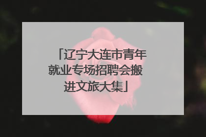 辽宁大连市青年就业专场招聘会搬进文旅大集