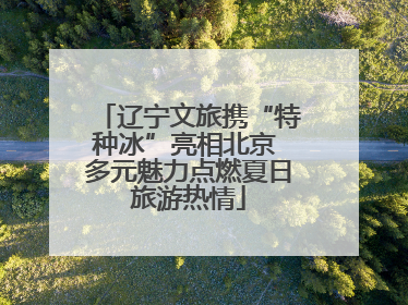 辽宁文旅携“特种冰”亮相北京 多元魅力点燃夏日旅游热情