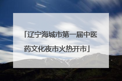 辽宁海城市第一届中医药文化夜市火热开市
