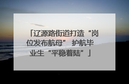 辽源路街道打造“岗位发布航母” 护航毕业生“平稳着陆”
