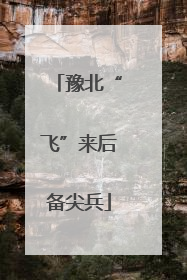 豫北“飞”来后备尖兵