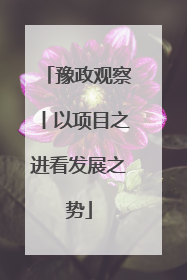 豫政观察丨以项目之进看发展之势