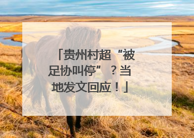 贵州村超“被足协叫停”？当地发文回应！