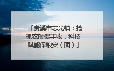 贵溪市志光镇：抢抓农时促丰收，科技赋能保粮安（图）