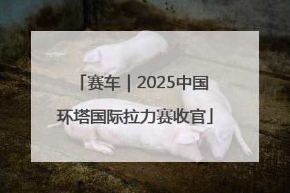 赛车｜2025中国环塔国际拉力赛收官