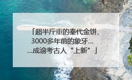 超半斤重的秦代金饼、3000多年前的象牙……成渝考古人“上新”