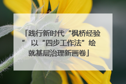 践行新时代“枫桥经验” 以“四步工作法”绘就基层治理新画卷