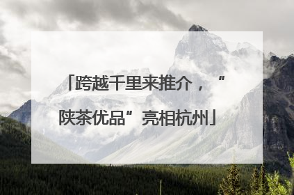 跨越千里来推介，“陕茶优品”亮相杭州