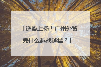 逆势上扬！广州外贸凭什么越战越猛？