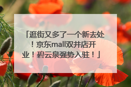 逛街又多了一个新去处！京东mall双井店开业！碧云泉强势入驻！