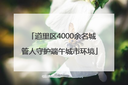道里区4000余名城管人守护端午城市环境