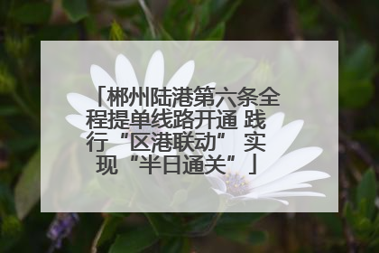 郴州陆港第六条全程提单线路开通 践行“区港联动” 实现“半日通关”