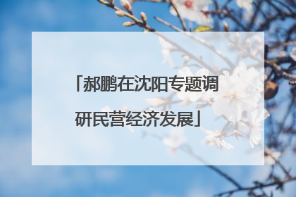 郝鹏在沈阳专题调研民营经济发展