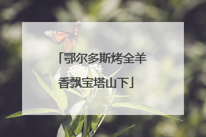 鄂尔多斯烤全羊香飘宝塔山下
