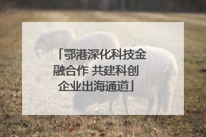 鄂港深化科技金融合作 共建科创企业出海通道