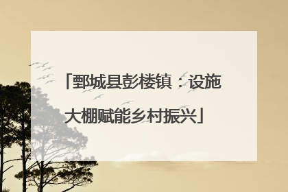 鄄城县彭楼镇：设施大棚赋能乡村振兴
