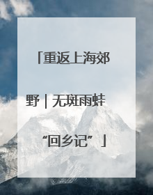 重返上海郊野｜无斑雨蛙“回乡记”