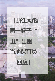 野生动物园一猴子“丑”出圈，当地保育员回应