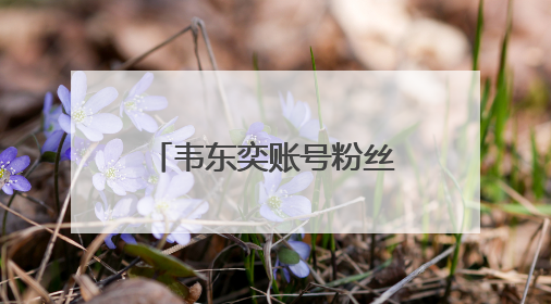韦东奕账号粉丝破2300万，泼天的流量，“韦神”接得住吗