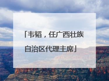 韦韬，任广西壮族自治区代理主席