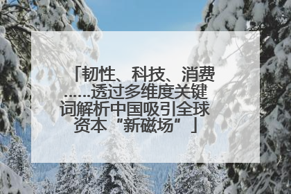 韧性、科技、消费……透过多维度关键词解析中国吸引全球资本“新磁场”