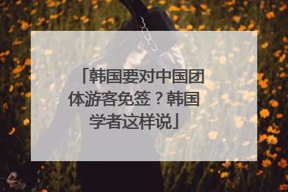 韩国要对中国团体游客免签？韩国学者这样说