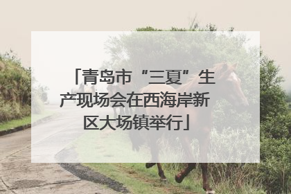 青岛市“三夏”生产现场会在西海岸新区大场镇举行