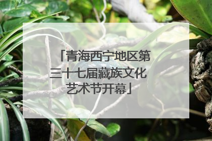 青海西宁地区第三十七届藏族文化艺术节开幕