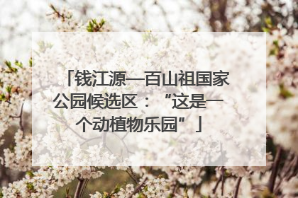 钱江源—百山祖国家公园候选区：“这是一个动植物乐园”