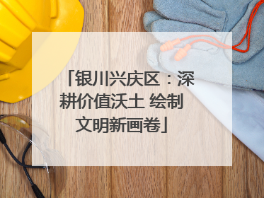 银川兴庆区：深耕价值沃土 绘制文明新画卷