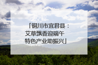 铜川市宜君县：艾草飘香迎端午 特色产业助振兴