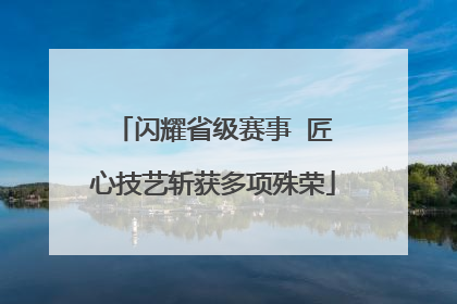 闪耀省级赛事  匠心技艺斩获多项殊荣