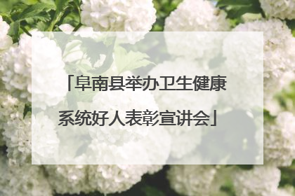 阜南县举办卫生健康系统好人表彰宣讲会