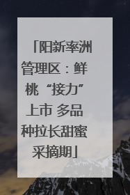阳新率洲管理区：鲜桃“接力”上市 多品种拉长甜蜜采摘期