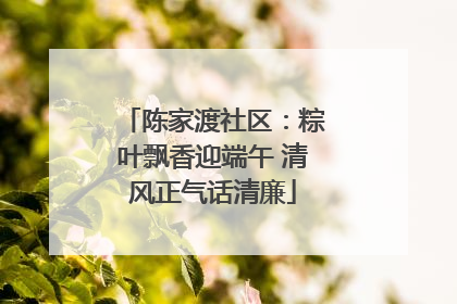 陈家渡社区：粽叶飘香迎端午 清风正气话清廉