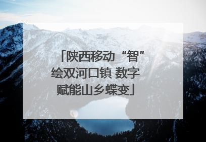 陕西移动“智”绘双河口镇 数字赋能山乡蝶变