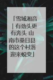 雪域湘音｜有劲头更有奔头 山南市桑日县的这个村落迎来蜕变
