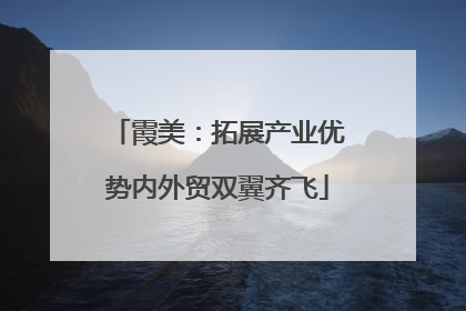 霞美：拓展产业优势内外贸双翼齐飞