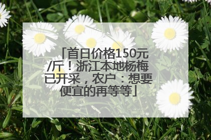 首日价格150元/斤！浙江本地杨梅已开采，农户：想要便宜的再等等