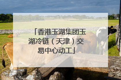香港玉湖集团玉湖冷链（天津）交易中心动工
