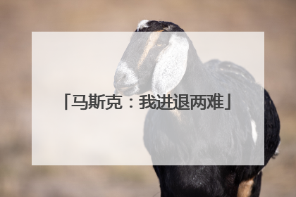 马斯克：我进退两难