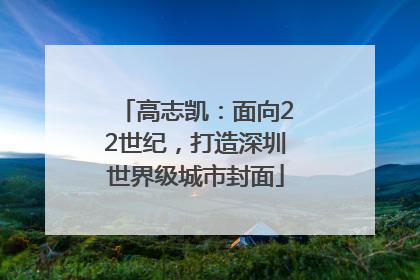 高志凯：面向22世纪，打造深圳世界级城市封面