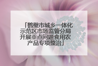 鹤壁市城乡一体化示范区市场监管分局开展重点问题食用农产品专项整治